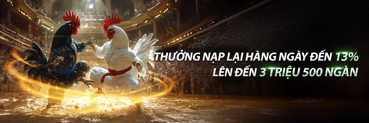 Sòng bạc trực tuyến ok8386 Code 2026 với ưu đãi độc quyền